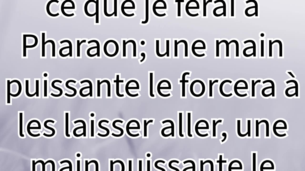 "Dieu Révèle Sa Puissance pour Délivrer Israël" Exode 6:1#shorts #youtubeshorts #jesus #ytshorts #yt