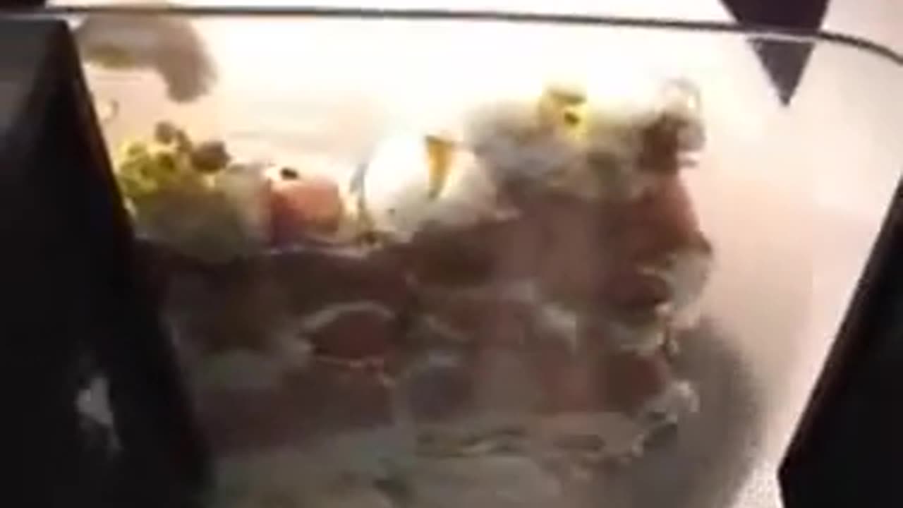 Eggs Crushed Under Butt