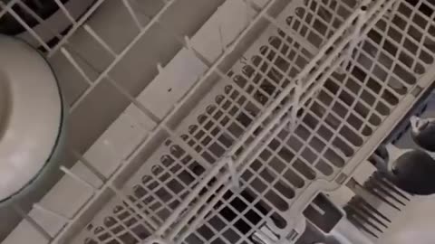 😂💧 The Most Epic Dishwasher Fail! Almost Got the Job Done | FunFM