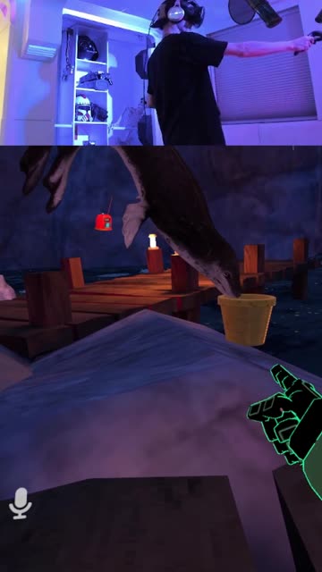 SEAL STEALING FISH IN VR CHAT