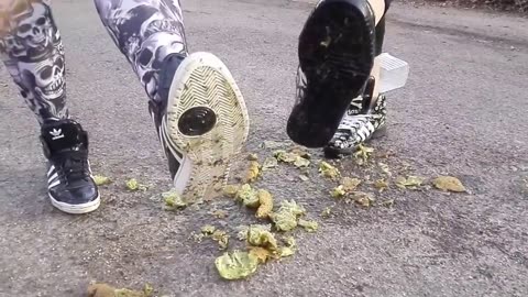 Adadis Scott Skull Sneakers Cush Kiwis