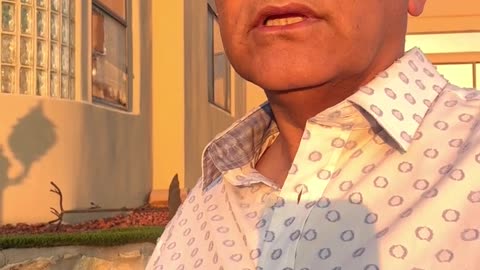 Monday Blues Explained