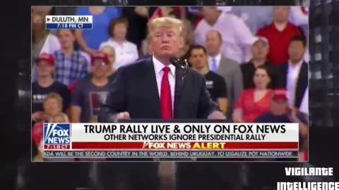 Trump's P3dos. Part 1 (MIRRORED From Vigilante Intelligence)