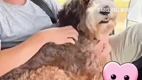 For The Love Of 'Benji'