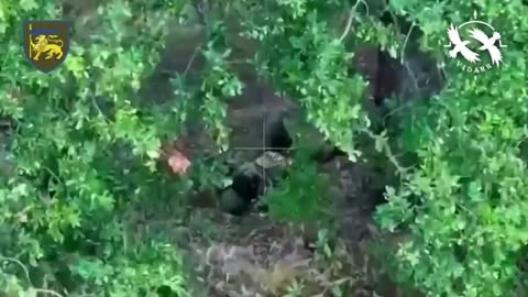 🚁🔥 Ukraine Russia War | VIDARR UAV Company Strikes Russian Infantry on Lyman Front | RCF