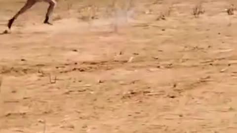 🚁🏜️ Sudan Conflict | Sudanese Army Chases RSF Unit Through Desert Terrain | RCF