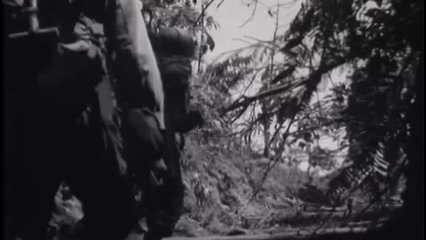 40TH DIVISION ACTIV... - 40TH DIVISION ACTIVITY, LOS NEGROS ISLAND, ADMIRALTY ISLANDS - 111-adc-4247