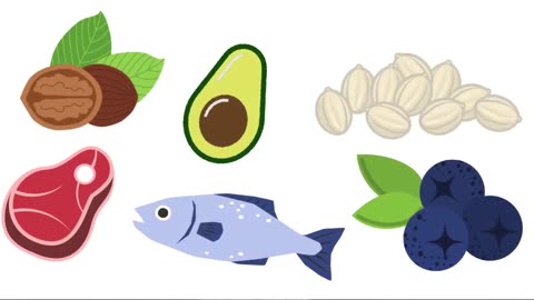 Every-Major-Diet-Explained-In-6-Minutes-Part-1
