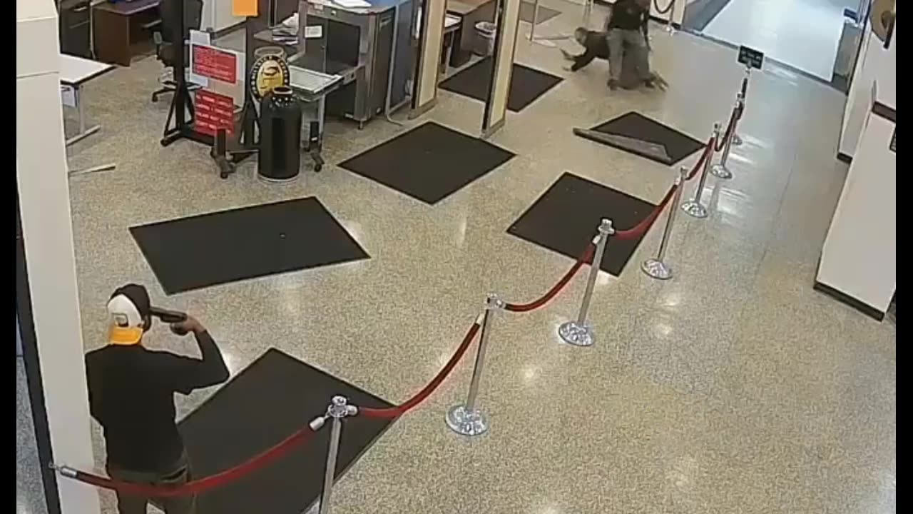 Brave Police Officers Stop Man With Gun - Back The Blue