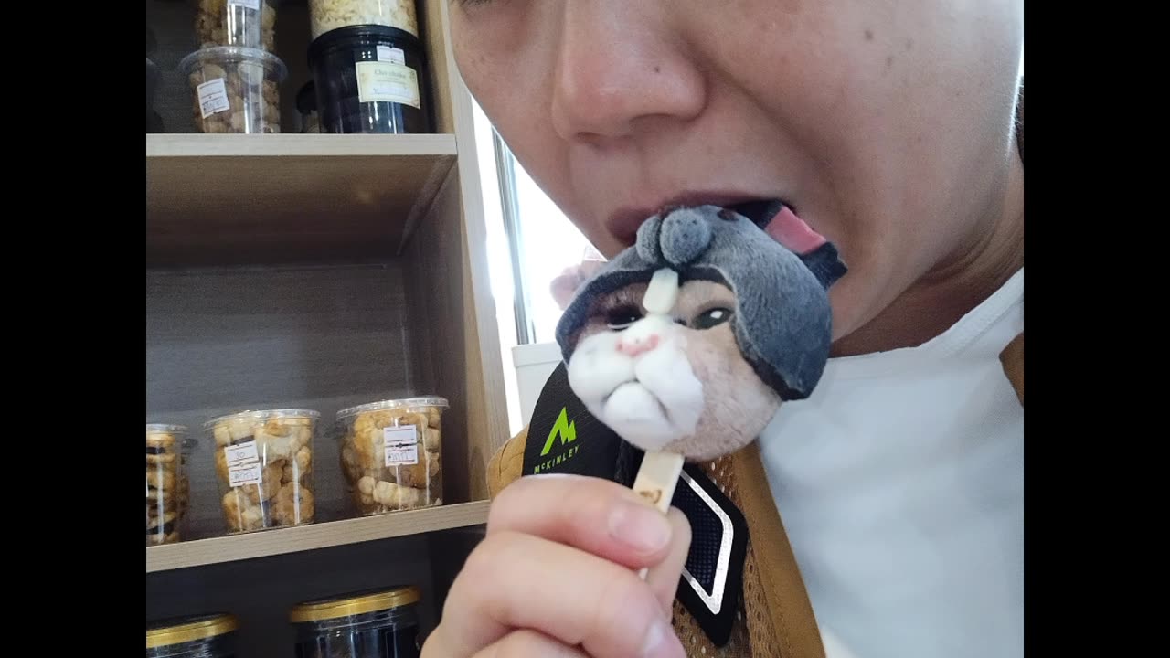 Omni S1 E9: Chiang Mai Photo Dump with voiceover Part One