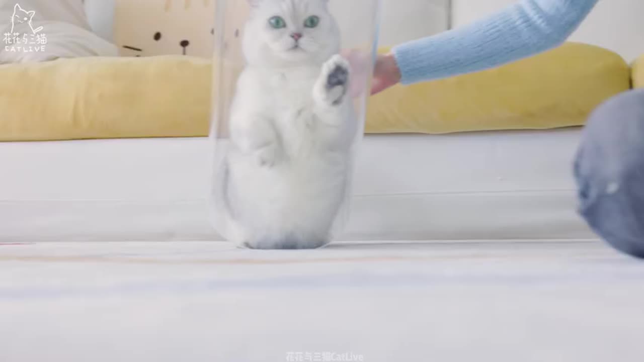 5 Seconds That Will Blow Your Mind