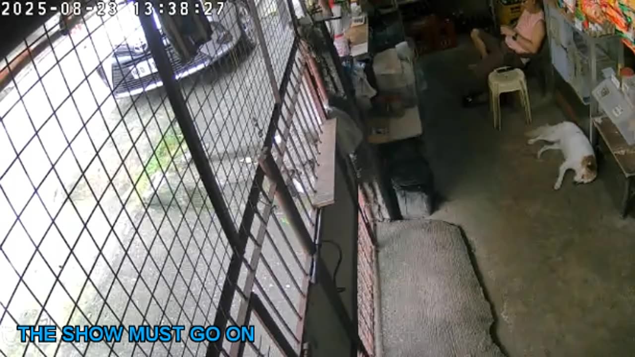 Mitsubishi Xpander 2019 Live