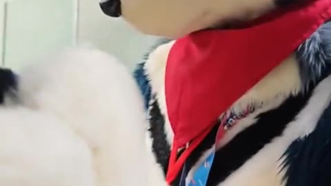 Msmswm