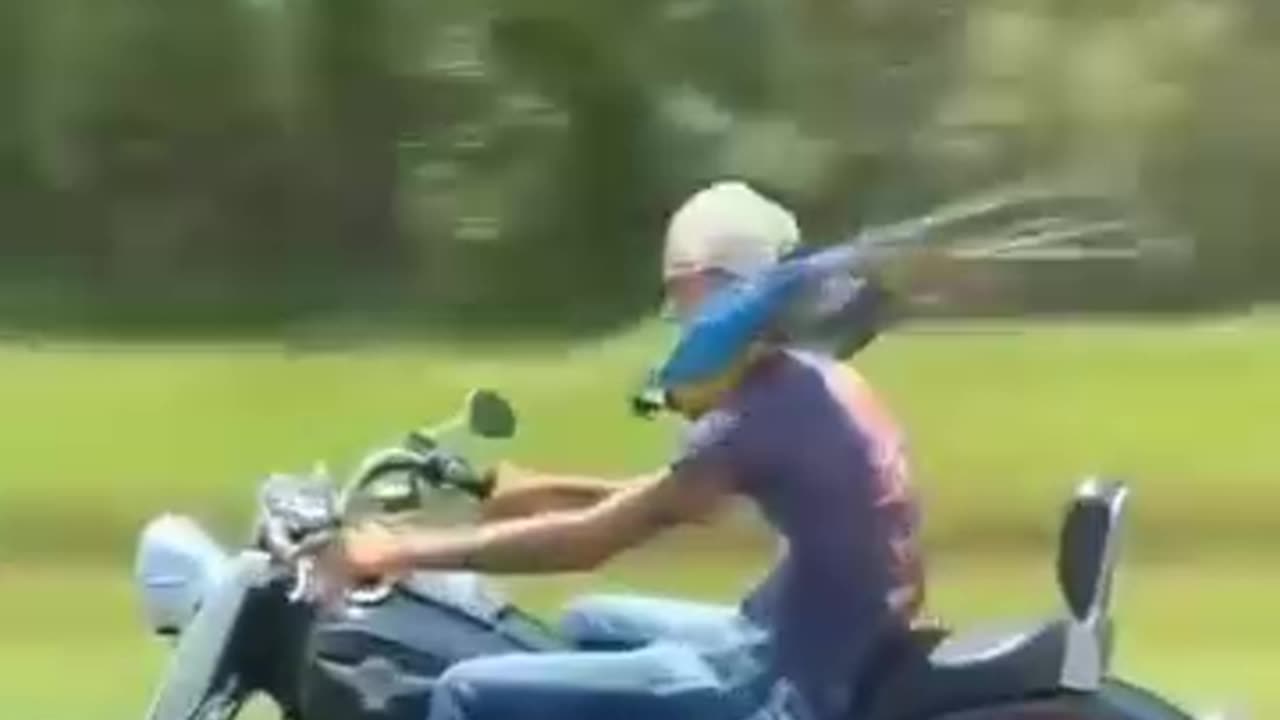 Funny clip no. 5