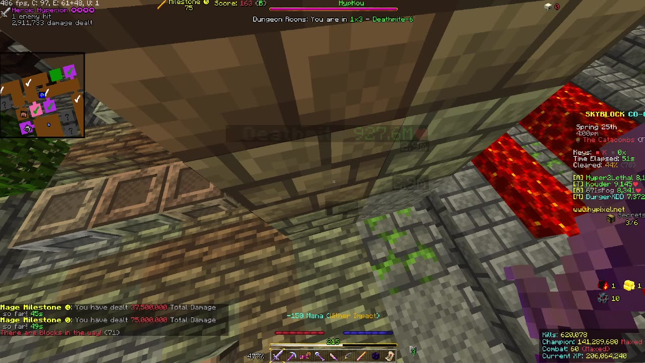 Skyblock FLOOR 7 [#2814]