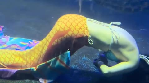 Mermaid fainted underwater during performance at amusement park