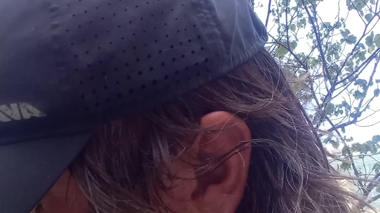 FOOD REVIEW: BUSH'S BROWN SUGAR HICKORY