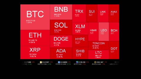 Live Coin Price Watch!