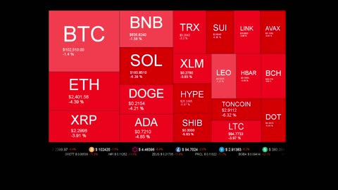Live Coin Price Watch!