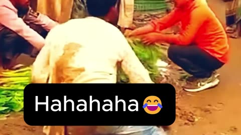 Can’t Stop Laughing! 😂🔥 #FunnyVideo #LOL #EpicFails