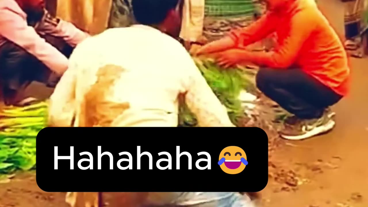 Canโt Stop Laughing! ๐๐ฅ #FunnyVideo #LOL #EpicFails