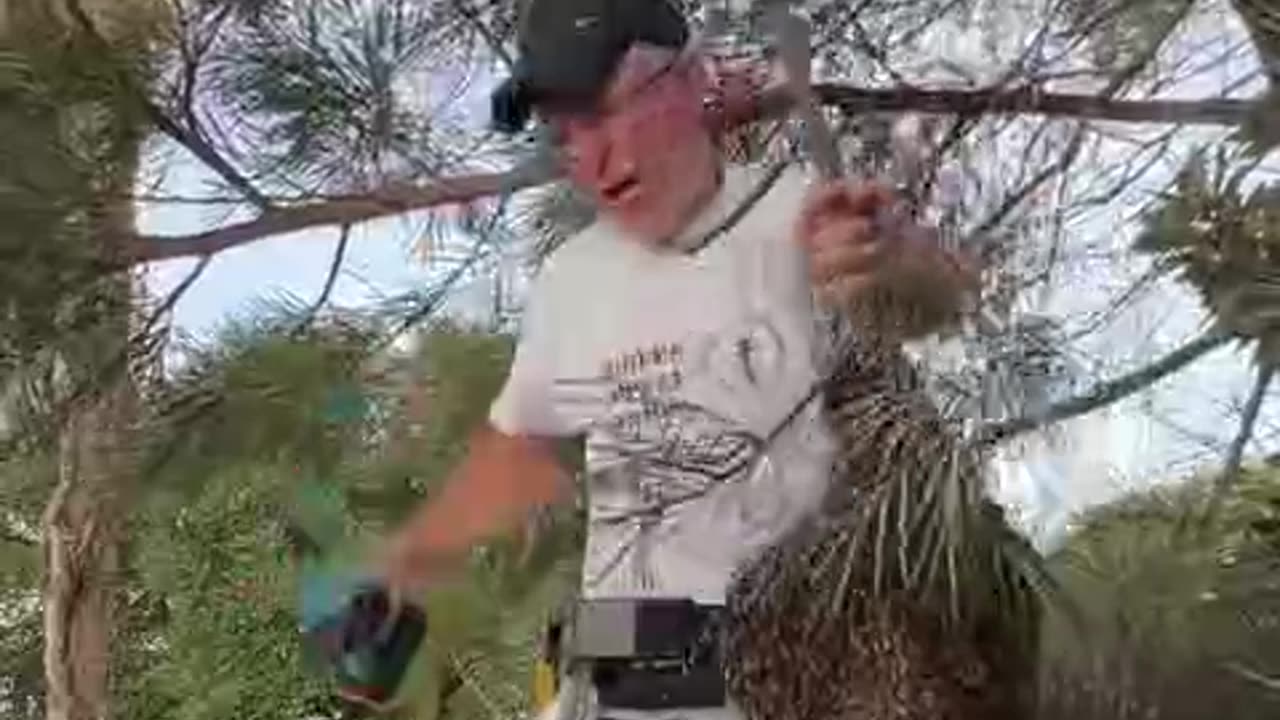 🤍😇....when you are one and in love whit nature 💚💚💚🐝🐝🐝❤️