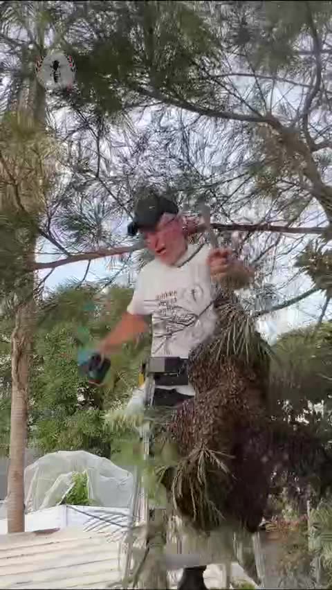 🤍😇....when you are one and in love whit nature 💚💚💚🐝🐝🐝❤️