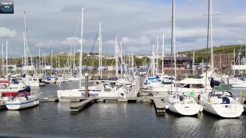 Whitehaven walkabout 9/9/25