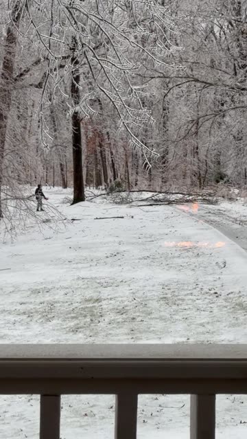 Man Not Listening to Wife’s Warning to Stay Away From Falling Limbs in Ice Storm