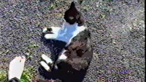 1999 10 31