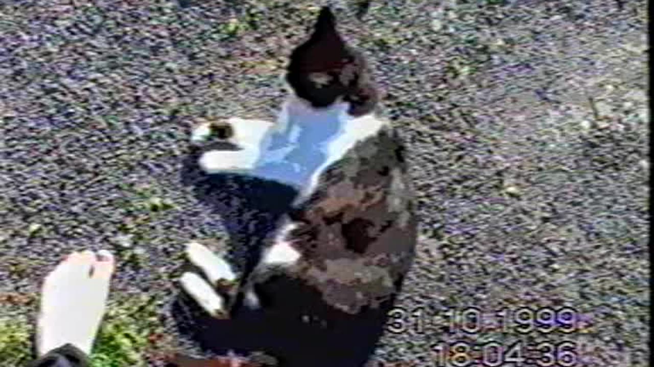 1999 10 31