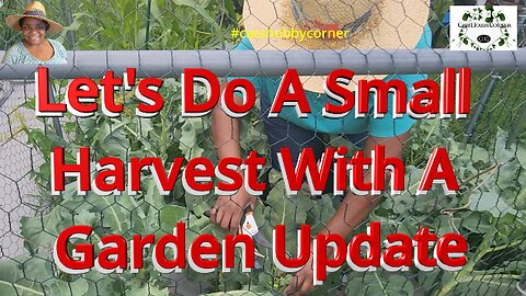 Let's Do A Small Harvest With A Garden Update -#catshobbycorner #harvest