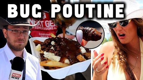 Would you eat bugs in poutine? Stampede-goers respond
