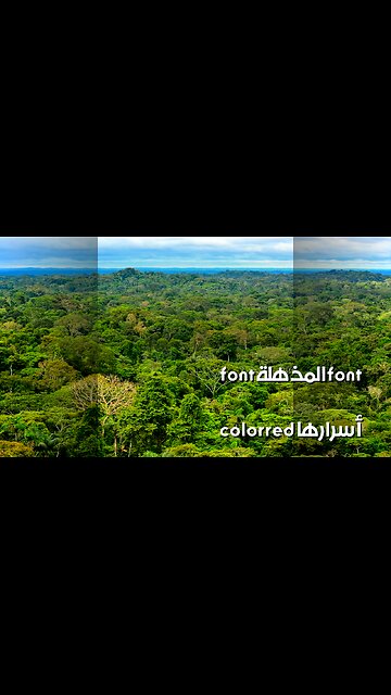 مدن ضائعة أسرارها تكشف! اكتشافات أثرية مذهلة