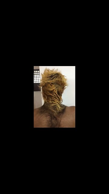 Did We Just Find The Missing Link?