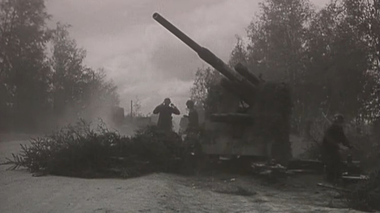 Concealed 88mm Flak and a Soviet bomber shot down over the Eastern Front in the Summer of 1942