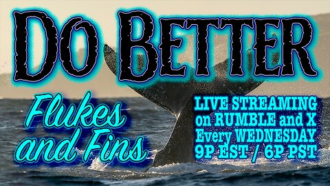 May 7th - Flukes and Fins