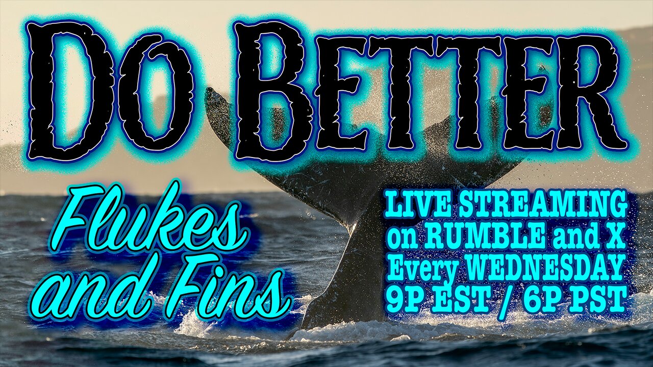 May 7th - Flukes and Fins