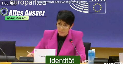 "MEP Anderson Praises the 'Small Fringe Minority'"
