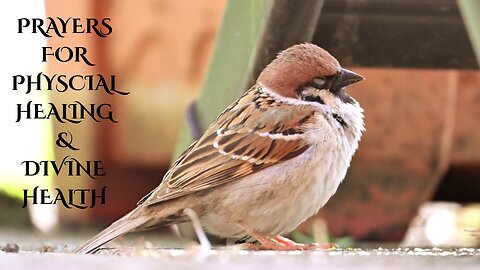 PRAYERS FOR PHYSCIAL HEALING AND DIVINE HEALTH