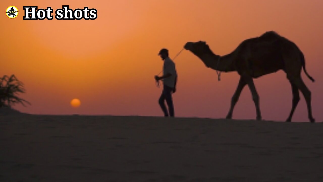 Otuwa, the ship of the desert