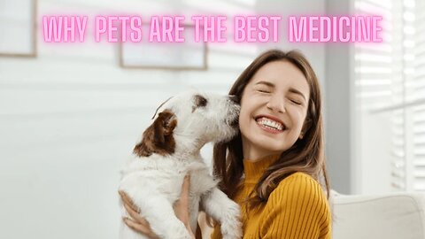 How Pets Know When You're Struggling (And Why They're Your Best Medicine) | AMZG Animals
