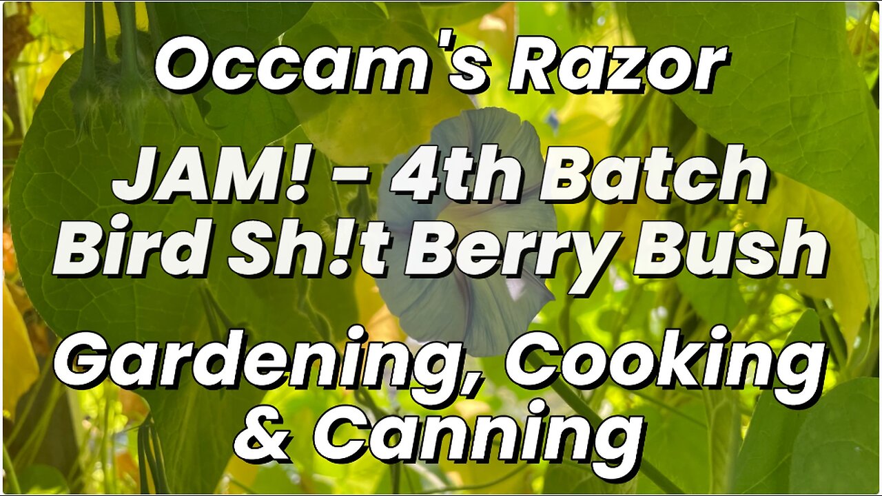 Jam! – 4th Batch - Bird Sh!t Berry Bush - Occam’s Razor Gardening, Cooking & Canning