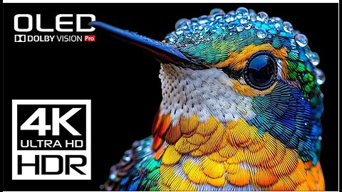 The Coolest Video 4K 120 FPS HDR Dolby Vision - 4K Video ULTRA HD