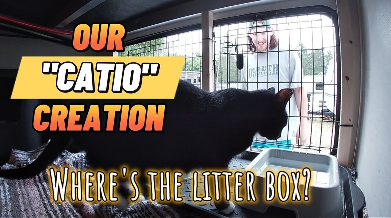 Building a "Catio" for our 4 CATS in our RV HOME | 5th Wheel | Full-Time RV Family