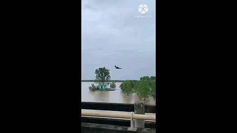 satisfying Video