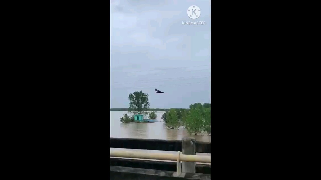 satisfying Video