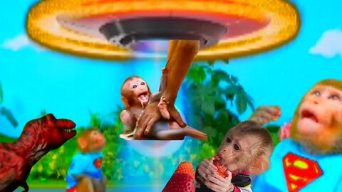 Baby Monkey Bon Bon kiki drives egg cart go to the farm and bathes with duckling in the toilet