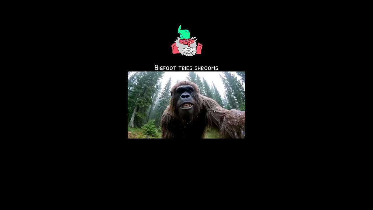Bigfoot tries shrooms