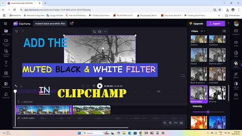 Add The Muted Black & White Filter In Clipchamp